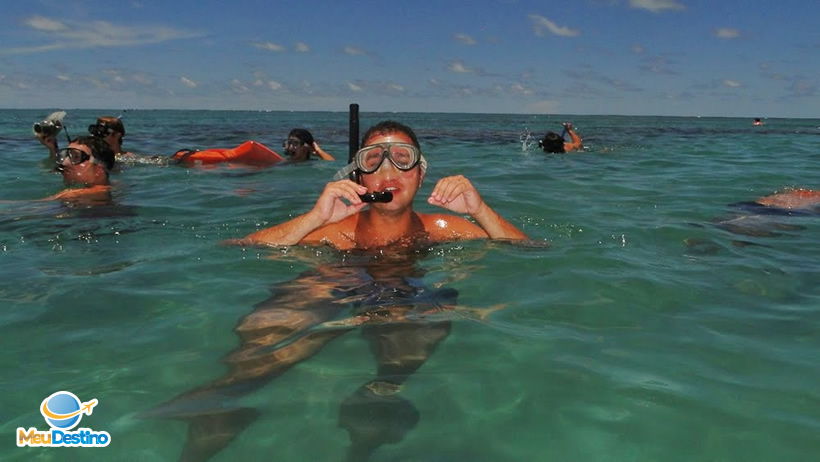 André Morato mergulhando