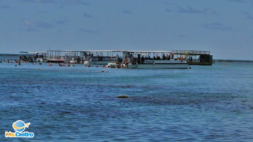 Mergulho em Maracajaú - Rio Grande do Norte