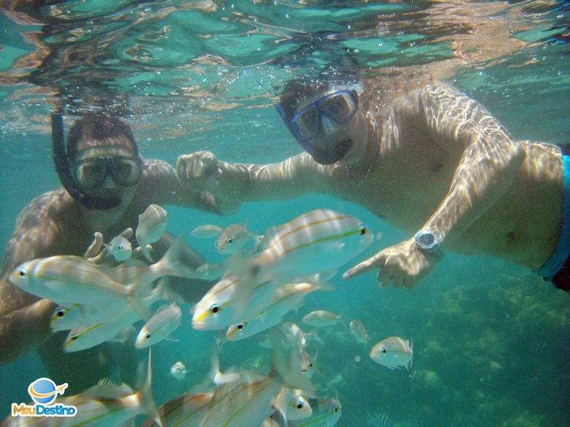 Mergulho em Maracajaú - Rio Grande do Norte