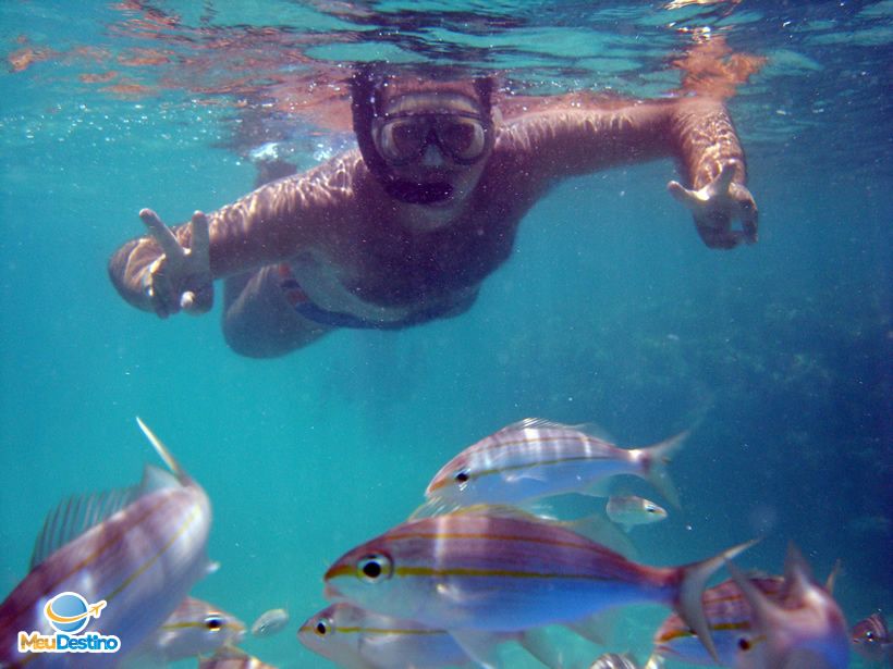 Mergulho nos parrachos