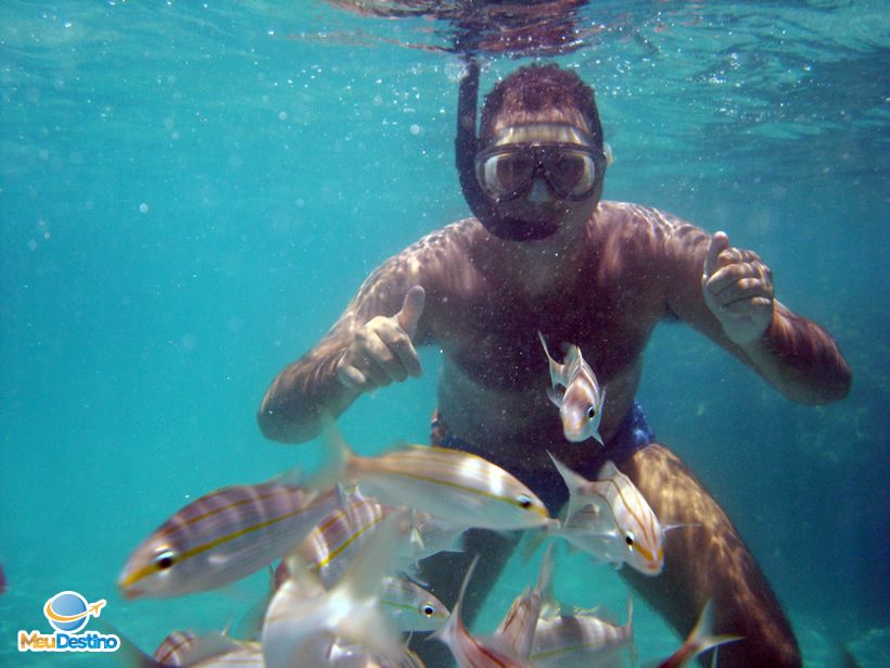 Mergulho em Maracajaú - Rio Grande do Norte