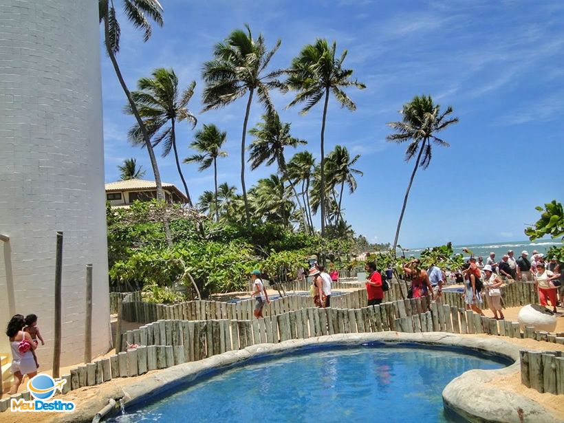 Projeto TAMAR - Praia do Forte-BA