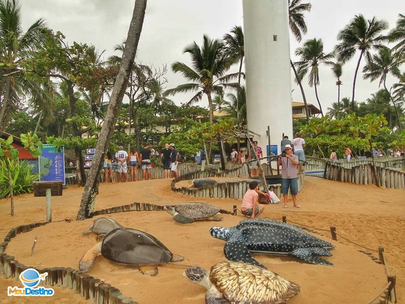 Projeto TAMAR - Praia do Forte-BA