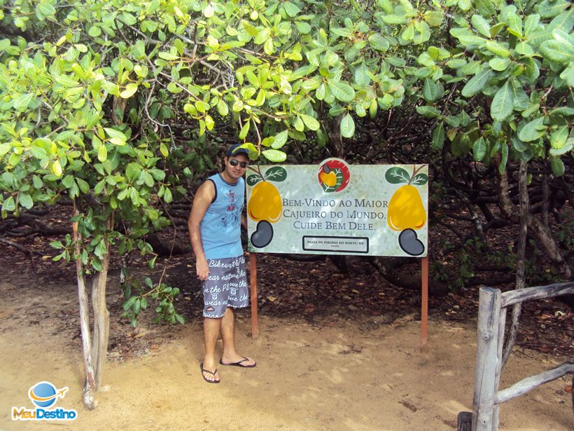 André Morato em Pirangi