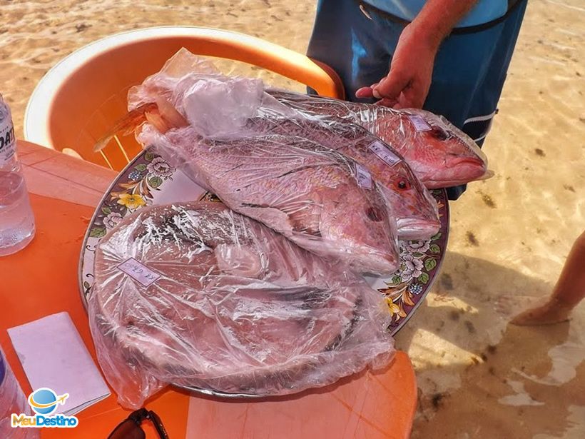Ilha de Areia Vermelha - Cabedelo - João Pessoa-PB
