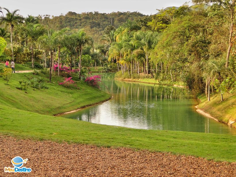 Inhotim - Museu de Arte Contemporânea e Jardim Botânico - Brumadinho-MG