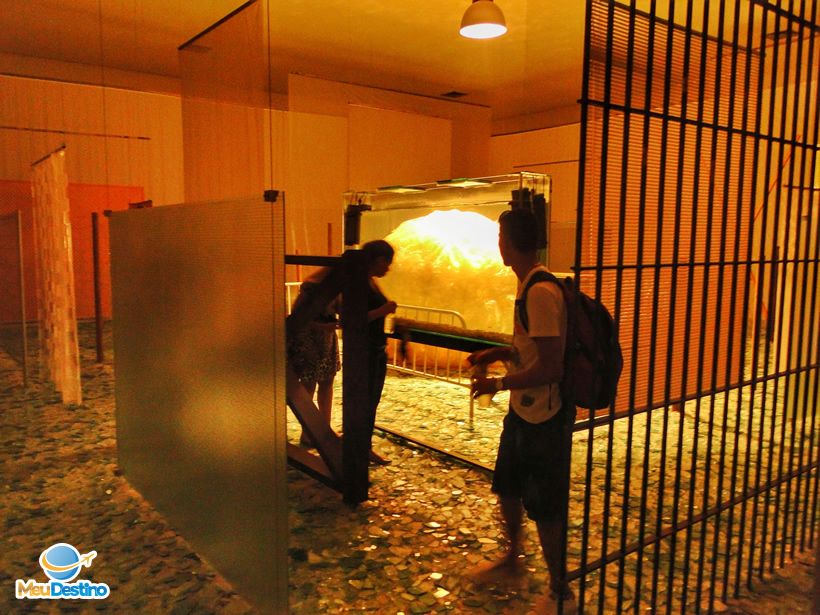 "Através", por Cildo Meireles