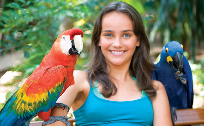 Bird Land - Atrações do Hot Park