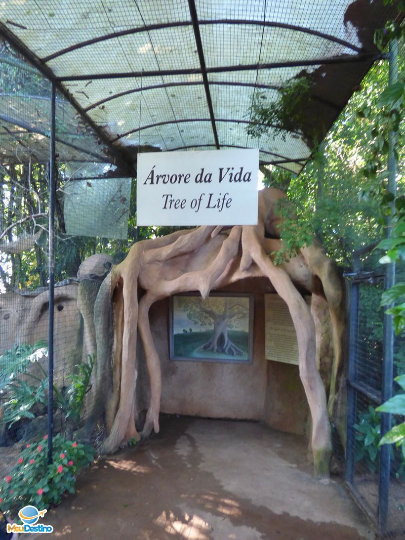 Árvore da Vida