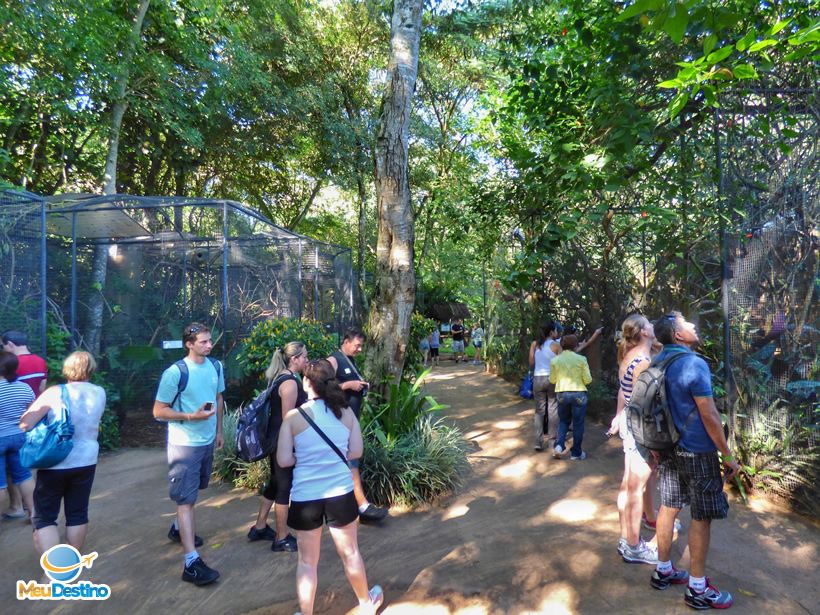 Turistas interagindo com os animais
