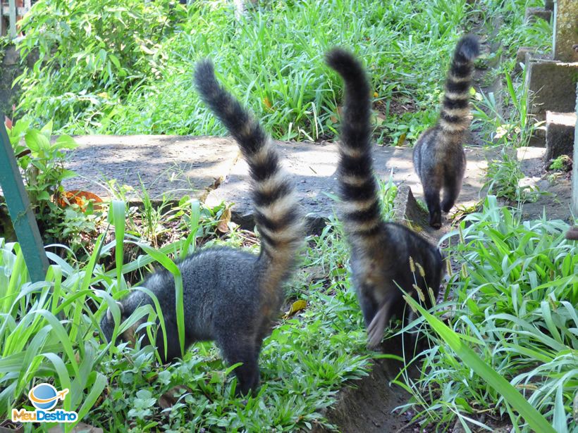 Parque Nacional das Cataratas do Iguaçu - Foz do Iguaçu-PR