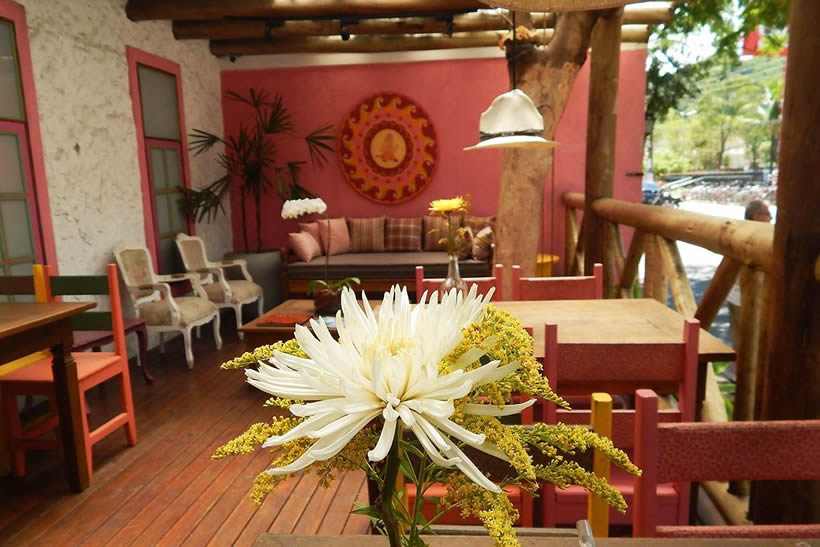 Restaurante - Gastronomia em Boiçucanga