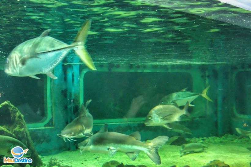 Ilha dos Aquários - Porto Seguro-BA