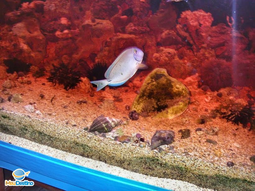 Ilha dos Aquários - Porto Seguro-BA