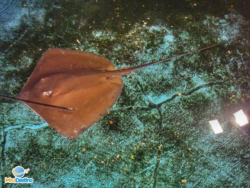 Ilha dos Aquários - Porto Seguro-BA