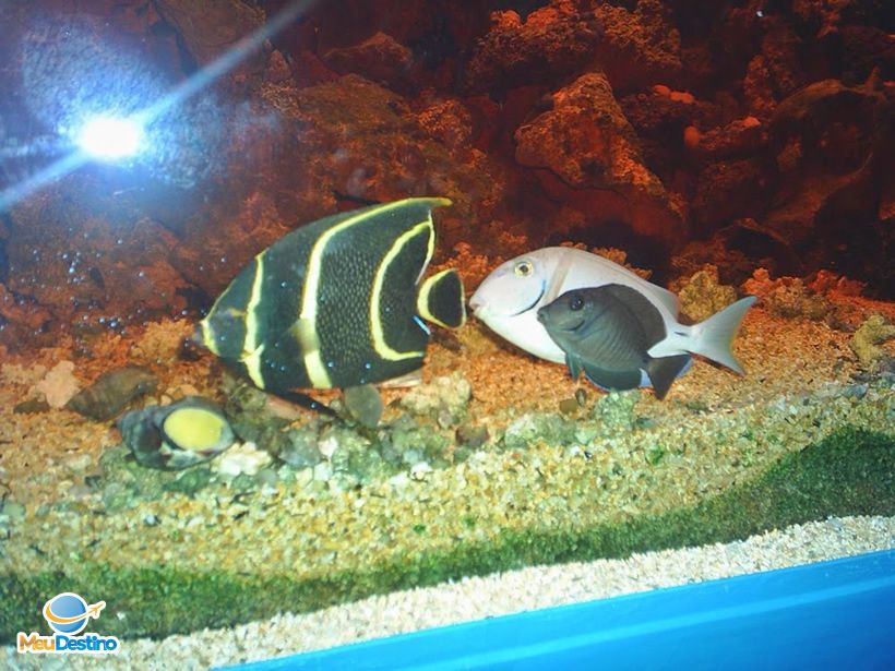 Ilha dos Aquários - Porto Seguro-BA