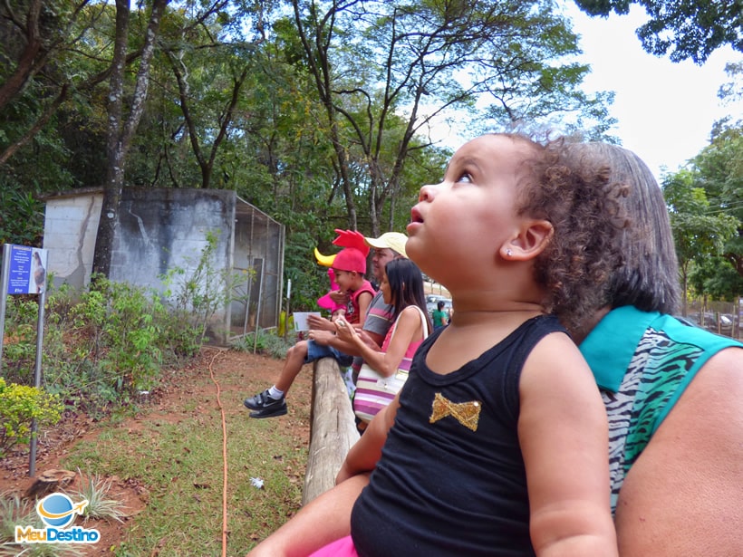 Crianças se encantam com os animais