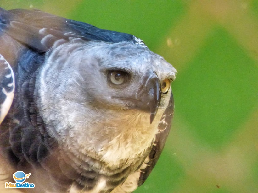 Zoológico de Belo Horizonte - MG