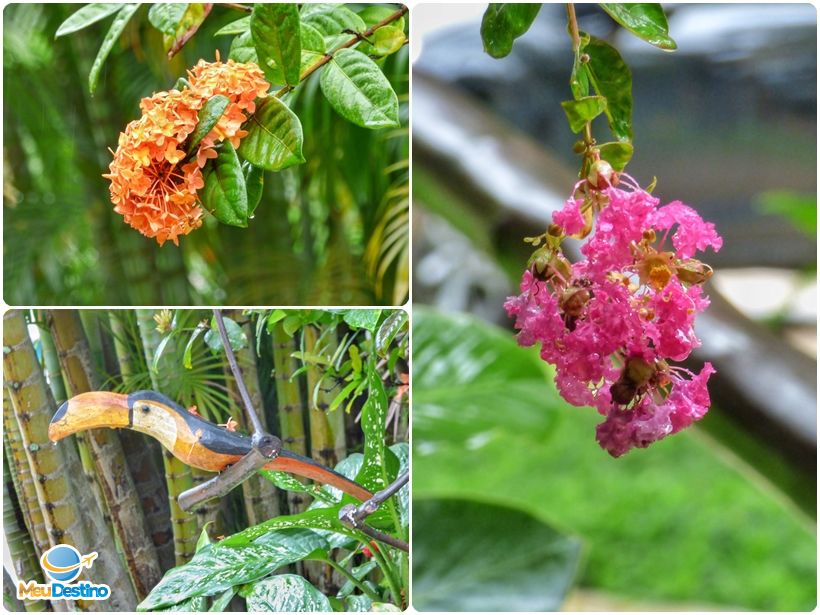 Ilha Deck Hotel - Hospedagem em Ilhabela-SP
