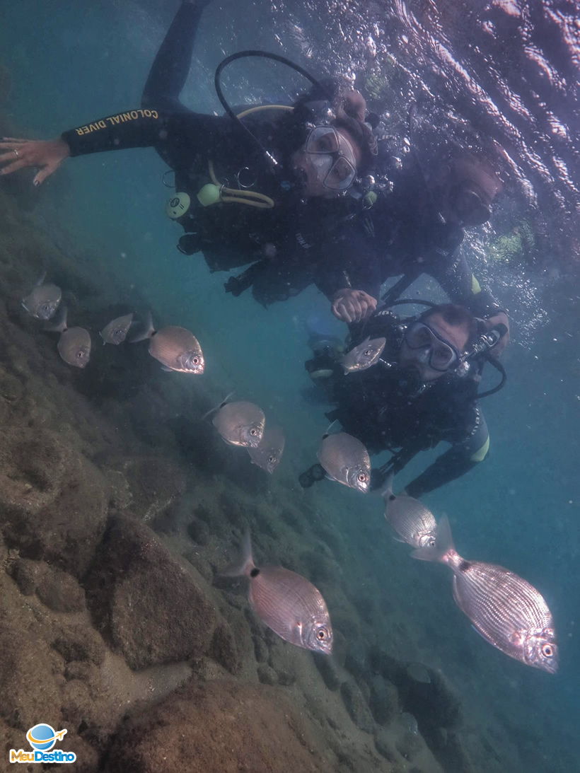 Mergulho na Ilha das Cabras - Ilhabela-SP