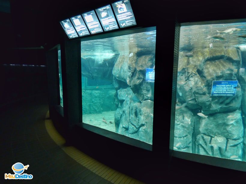 Aquário Municipal de Santos-SP