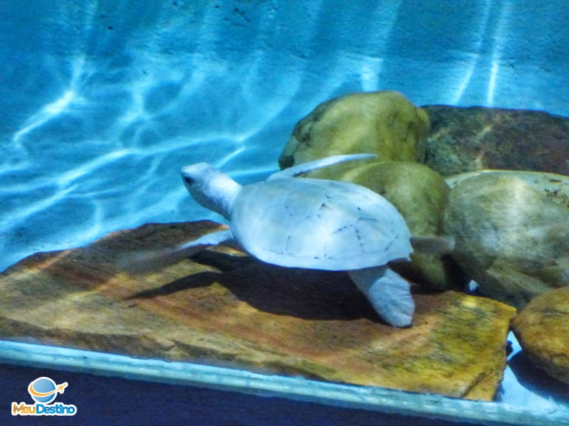 Oceanário de Aracaju-SE