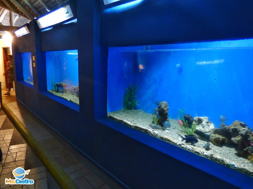 Oceanário de Aracaju-SE