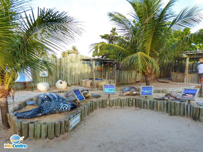 Oceanário de Aracaju-SE