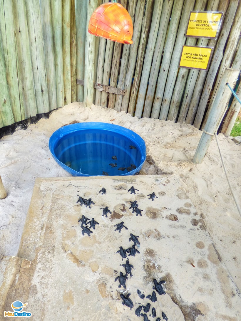 Oceanário de Aracaju-SE