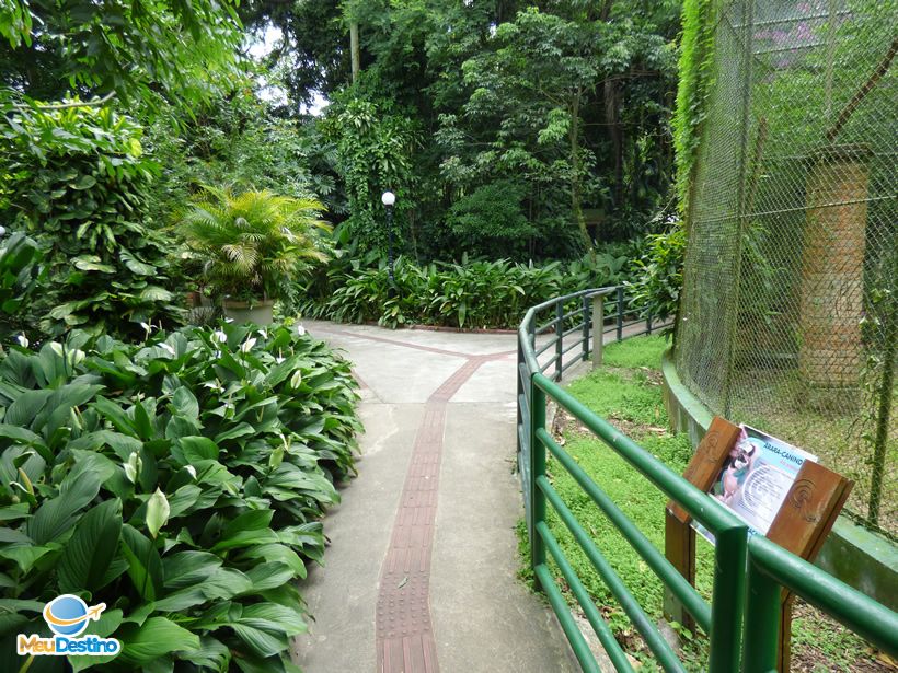 Orquidário Municipal - O que fazer em Santos-SP