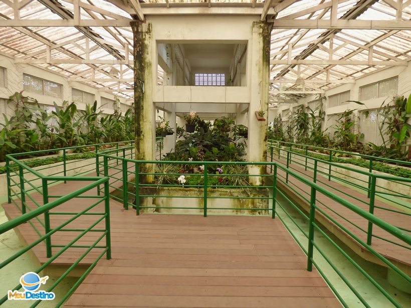 Orquidário Municipal de Santos-SP