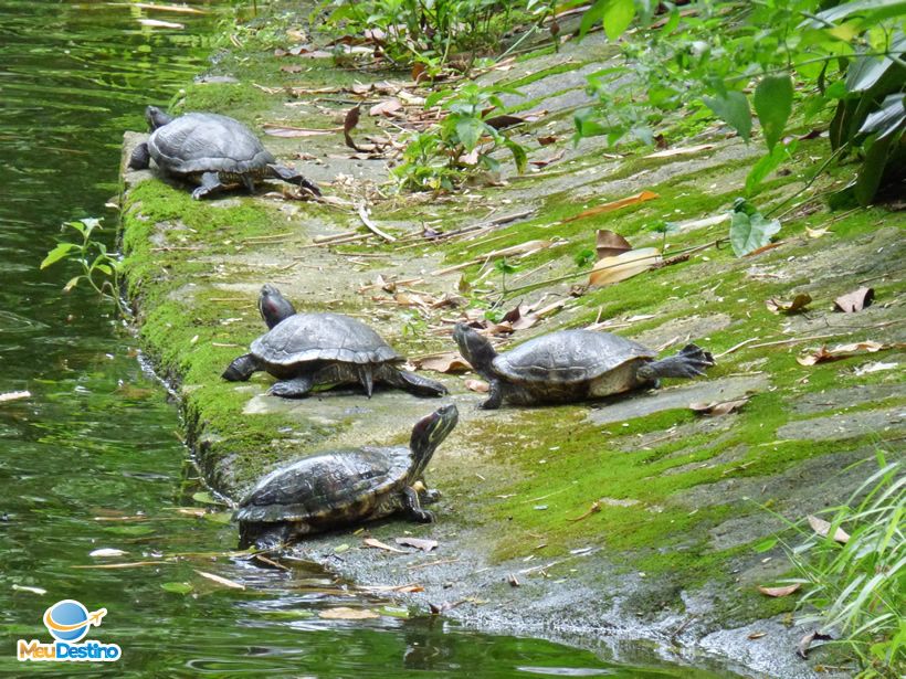 Orquidário Municipal de Santos-SP
