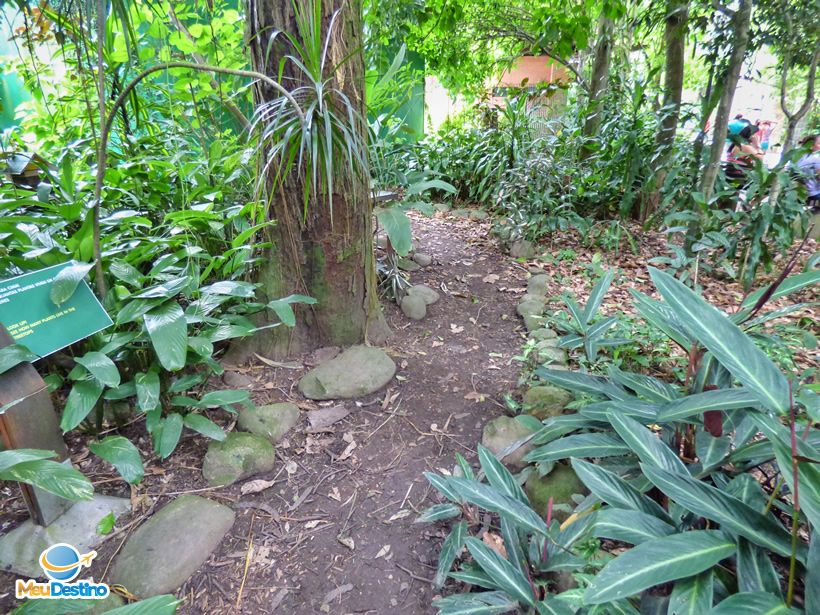 Orquidário Municipal de Santos-SP