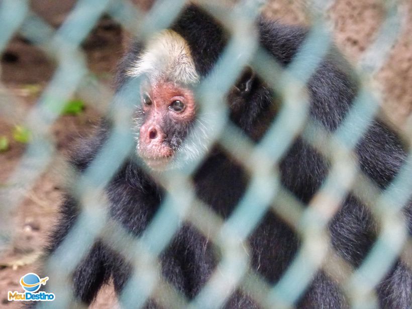 Orquidário Municipal de Santos-SP