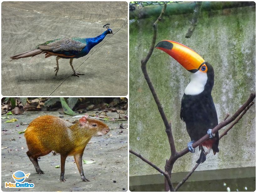 Orquidário Municipal de Santos-SP