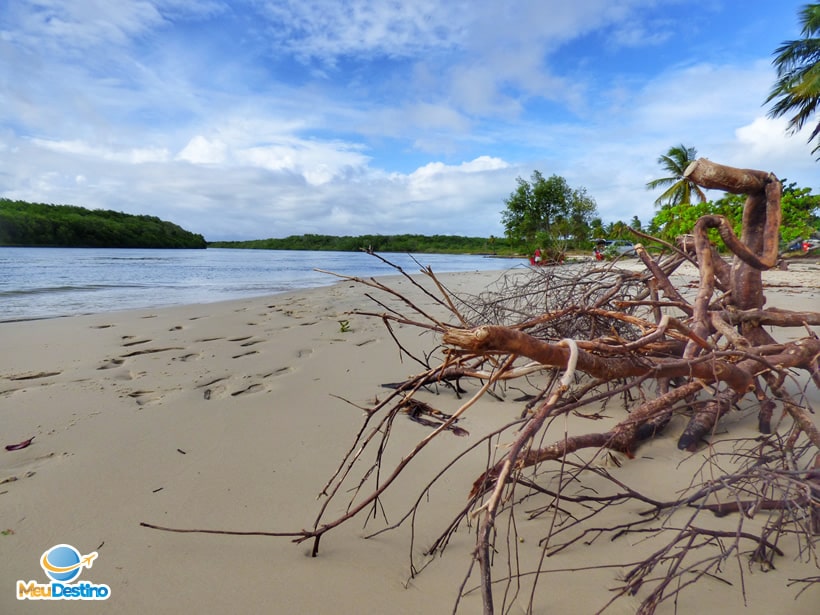 Ponta do Saco - Praia do Saco - Estância - Sergipe