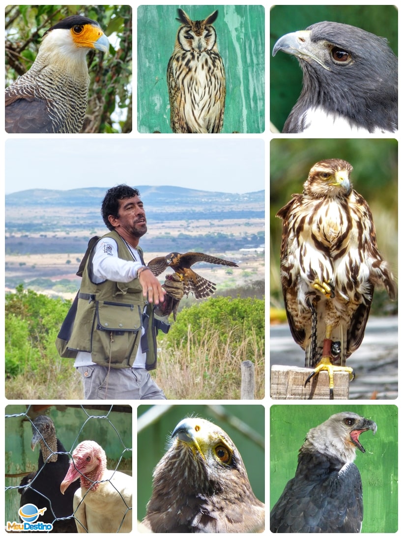 Parque dos Falcões - Itabaiana-SE