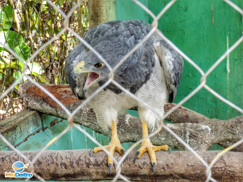 Parque dos Falcões - Itabaiana-SE