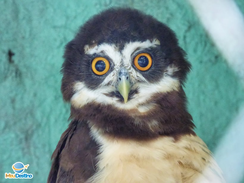 Parque dos Falcões - Itabaiana-SE