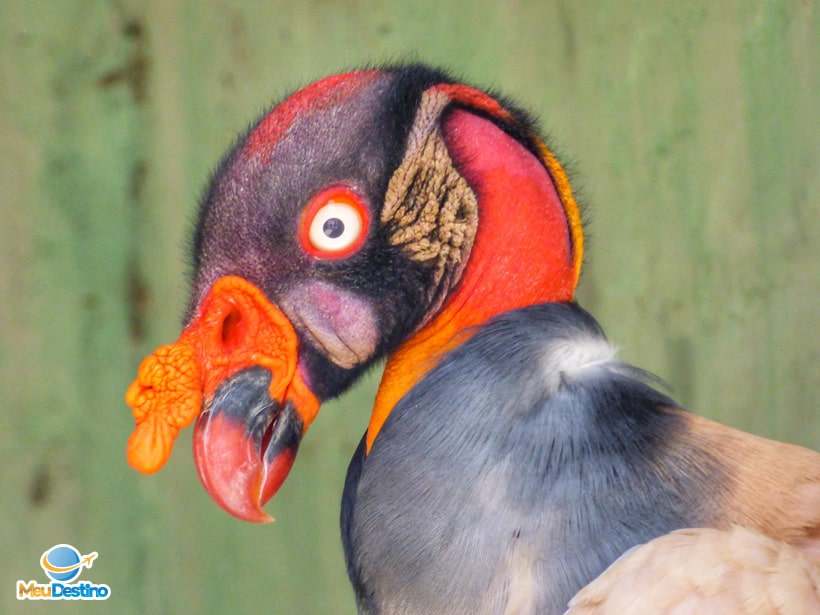 Parque dos Falcões - Itabaiana-SE