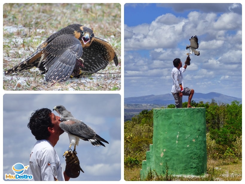 Parque dos Falcões - Itabaiana-SE