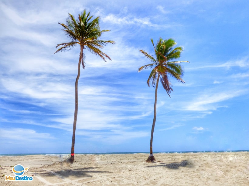 Coqueiros Romeu e Julieta nas Dunas - tema novela Tieta do Agreste