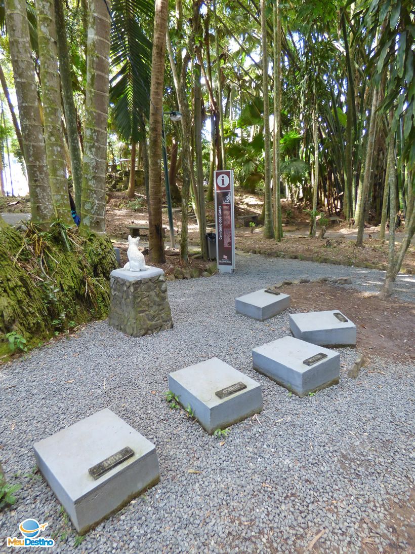 Cemitério dos Gatos