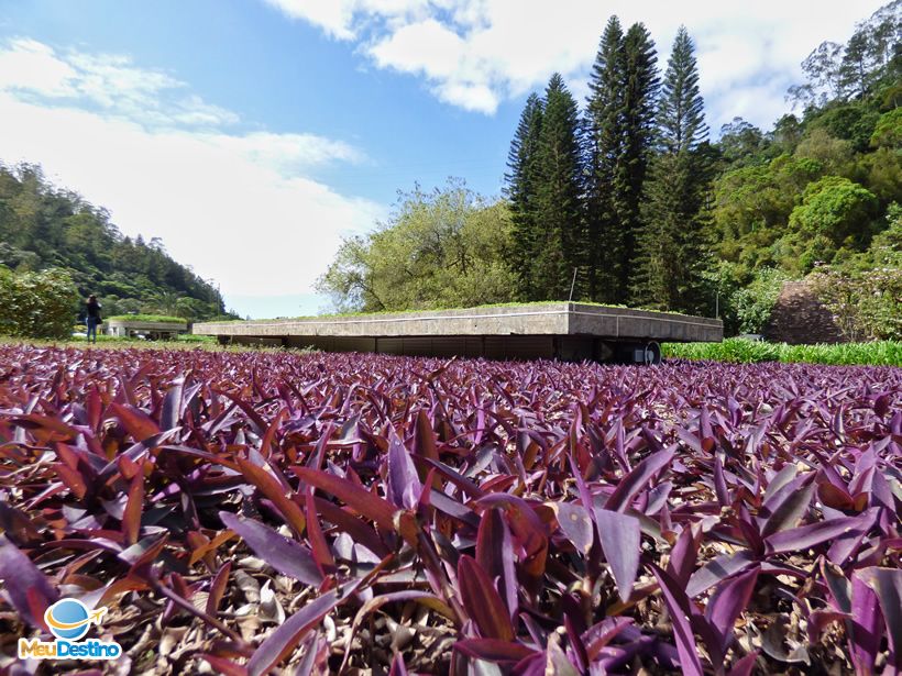 Museu Hering - Blumenau-SC