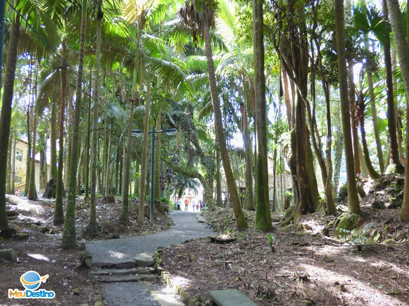 Parque Edith Gaertner