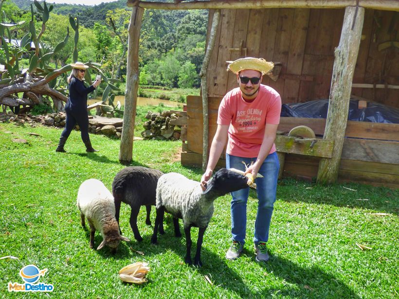 André Morato na Casa Centenária