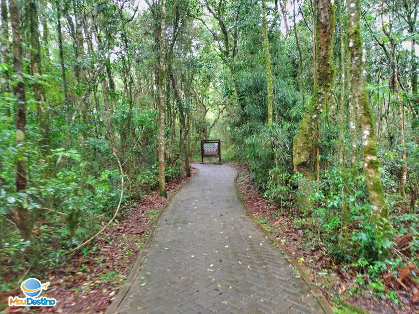 Bondinhos Aéreos Parques da Serra - Canela-RS