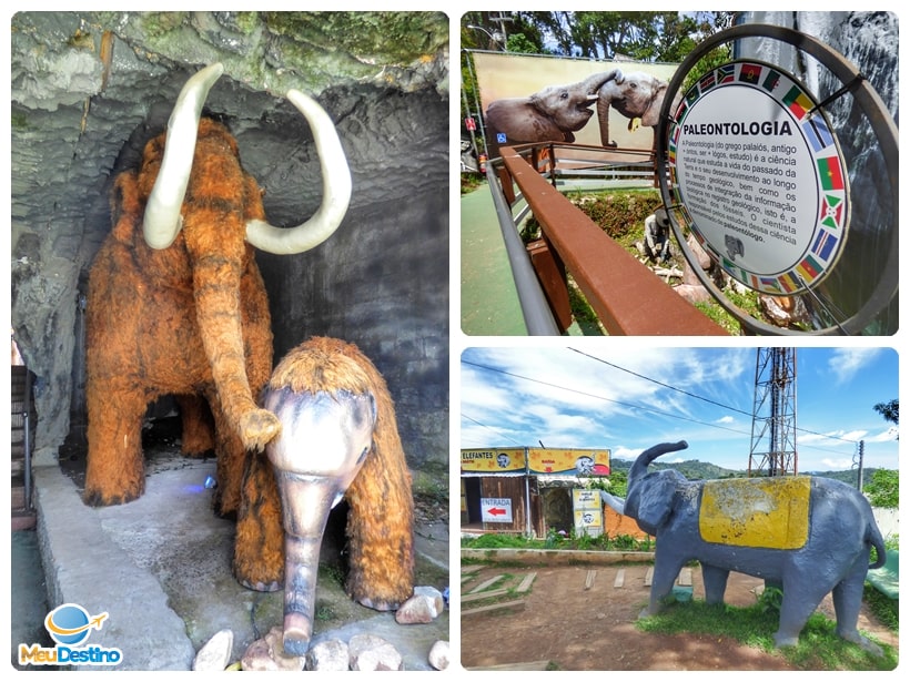 Morro do Elefante - Campos do Jordão-SP