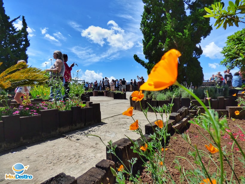 Morro do Elefante - Campos do Jordão-SP
