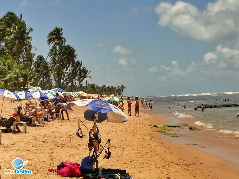Piscinas Naturais - O que fazer na Praia do Forte-BA